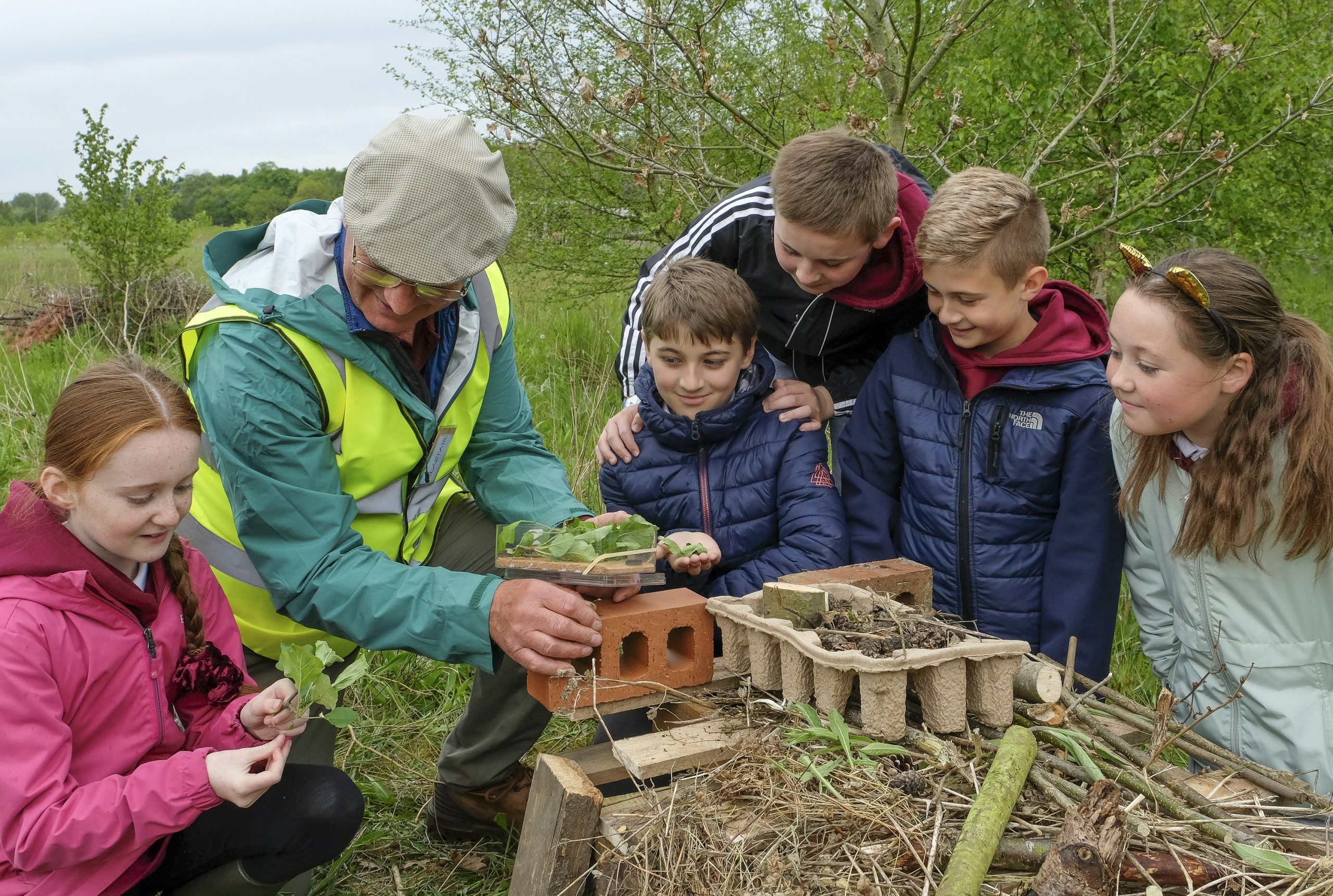 School children enjoy outdoor learning in meadows near York