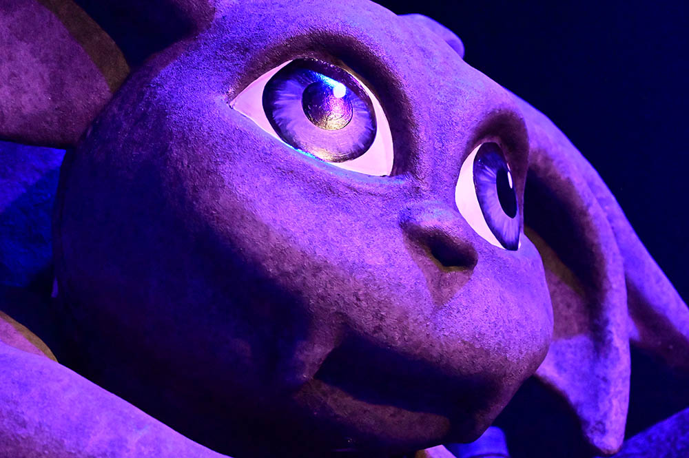 First look: Inside York’s magical new attraction – Video and pix
