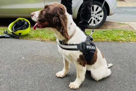 Explosives sniffer dog brought in after York package started leaking suspicious substance