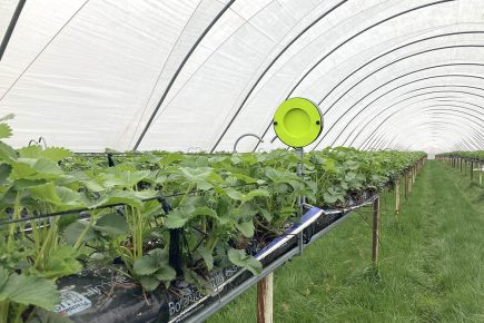 Pioneering technology bringing a buzz back to our green spaces