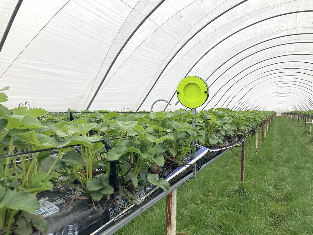 Pioneering technology bringing a buzz back to our green spaces