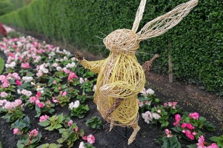 Six pictures: The magical Alice In Wonderland display ready to be discovered in a York park