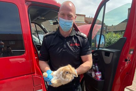 Firefighters rescue rabbit from behind van dashboard after her great escape