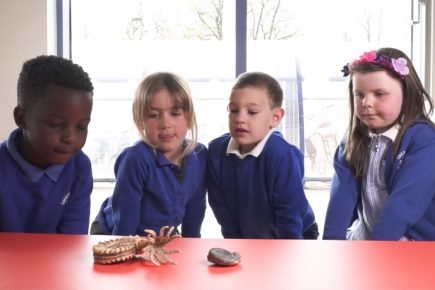 Watch: York children guess what museum objects are – and it’s as cute as you can imagine
