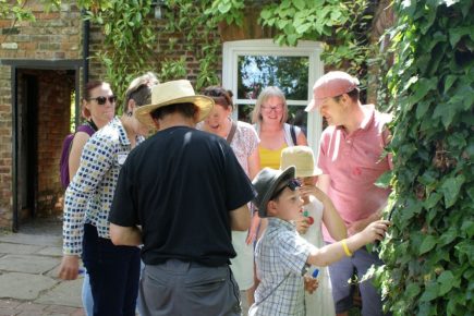 Butterflies and bees and birds, oh my! Learn all about the wildlife in your garden at this family day out