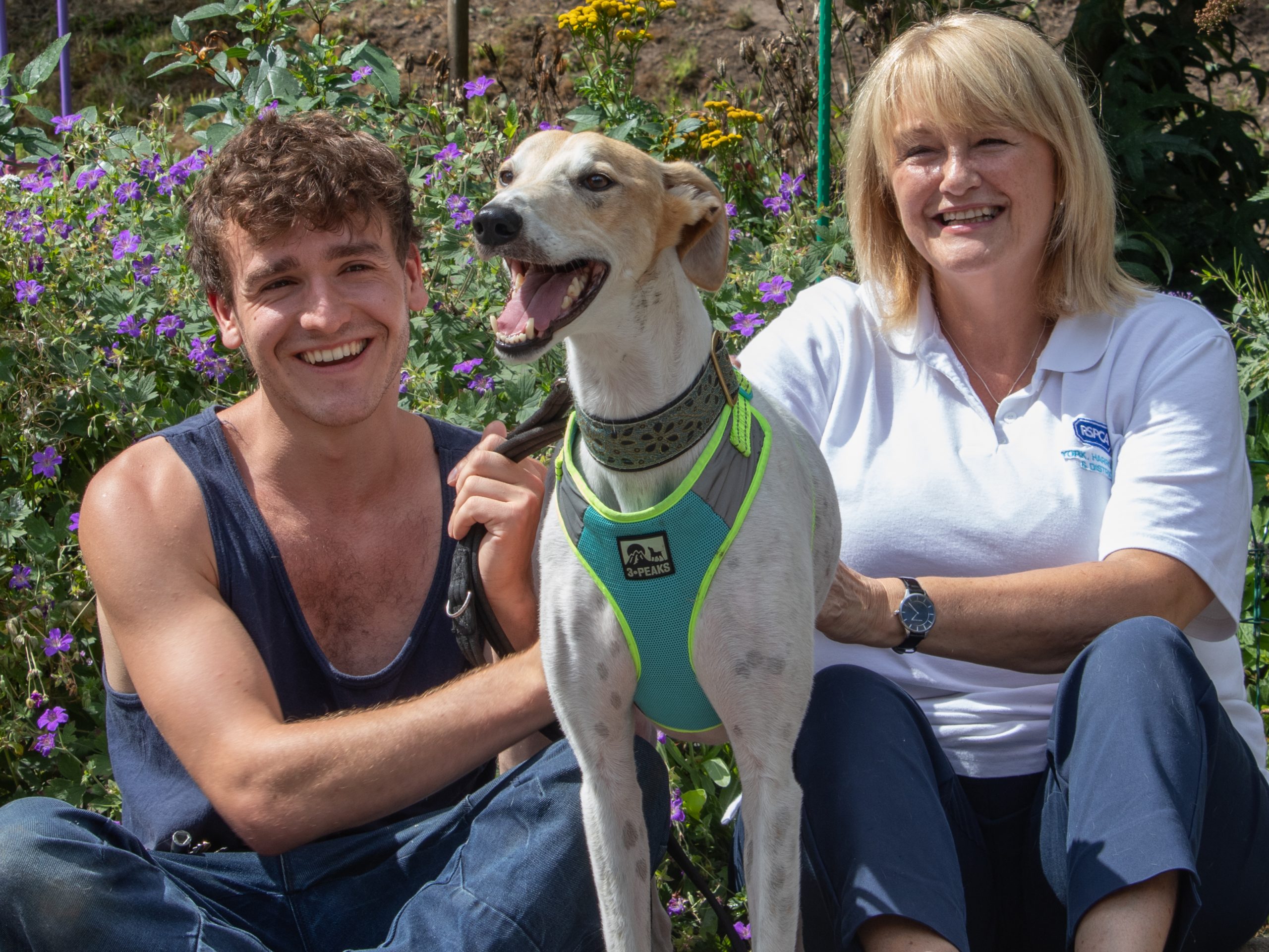 Win a private visit to see behind the scenes at York RSPCA Animal Shelter