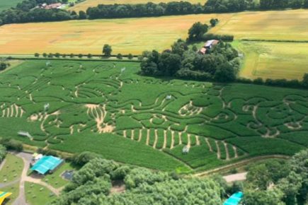 Video: First look at Mr Men York Maze 2021 from the air