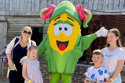 Gallery From York Maze