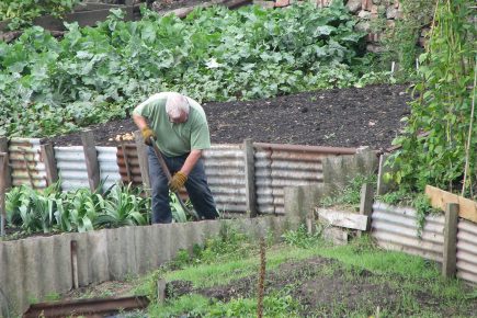 More than 1,000 people on waiting list for allotments in York