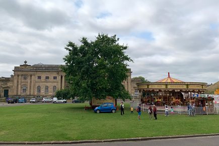 Eye of York oak saved! Tree won’t be axed after public root for it