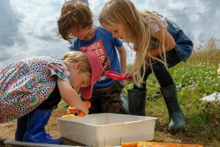 Family-friendly summer fun at York meadow with outdoor challenges, wonderful wildlife and more!