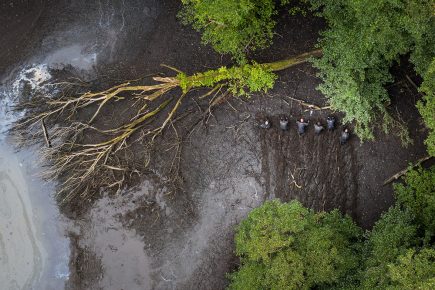 Police search drained lake for Claudia – 13 new pix