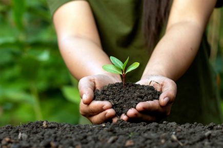 YorkMix Hero Awards – Meet the finalists for the Environmental Hero award