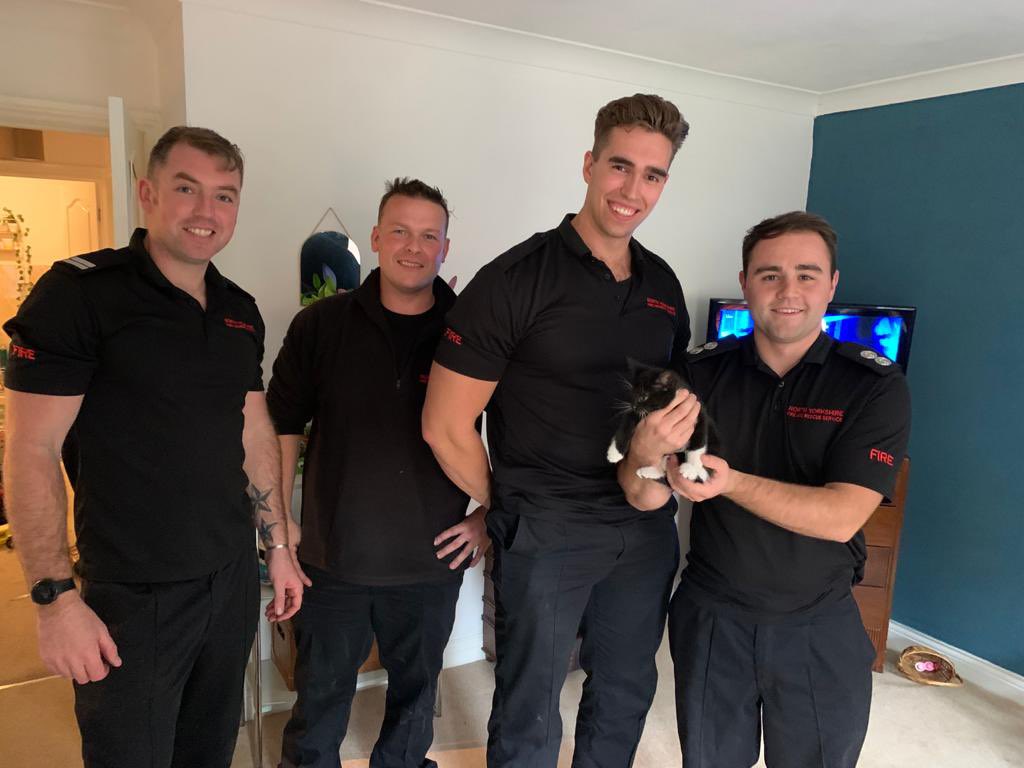 Kitten rescued from behind a kitchen unit