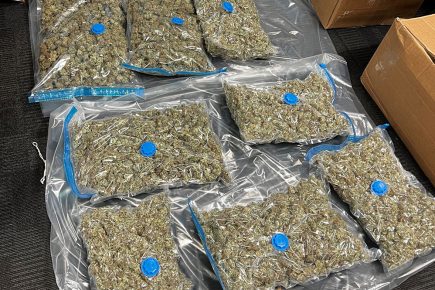Police seize large quantity of drugs in North Yorkshire operation – Two men in court