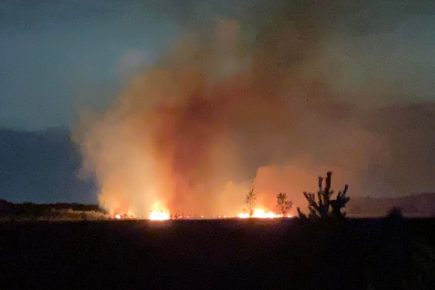 Video: Fire breaks out on Strensall common