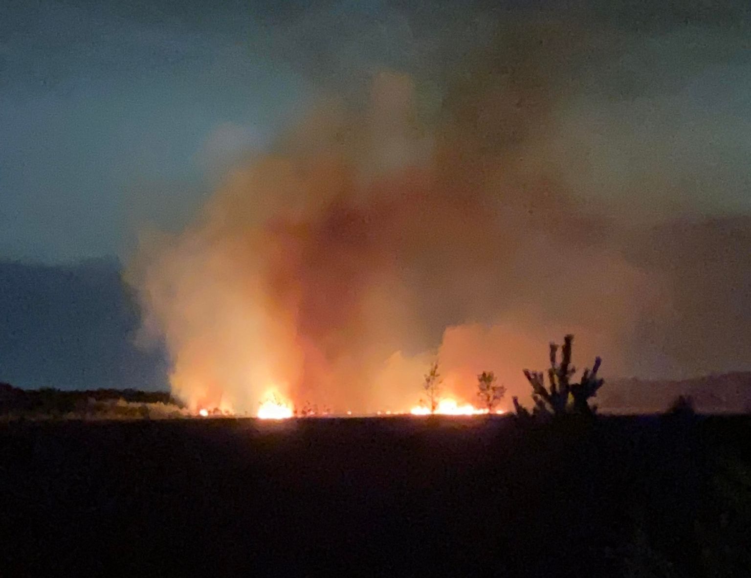 Video: Fire breaks out on Strensall common