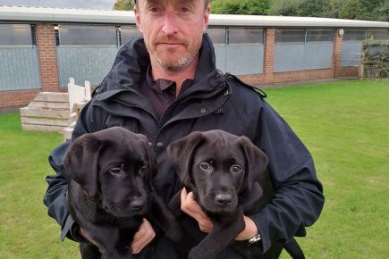 Police launch dedicated pet theft team to deal with this ‘extremely distressing’ crime