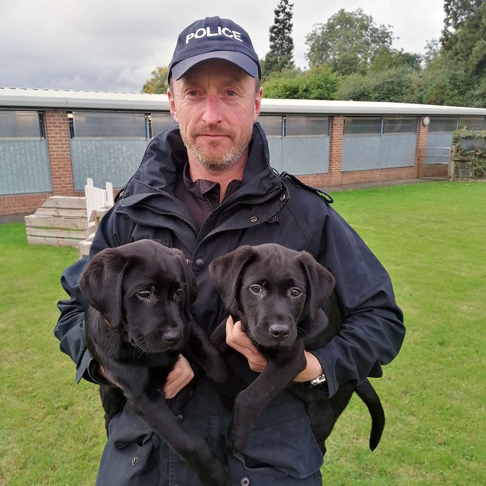 Police launch dedicated pet theft team to deal with this ‘extremely distressing’ crime