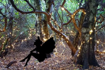 Take a walk along this delightful fairy trail this Halloween!