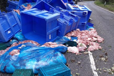Pork spillage causes traffic delays on main North Yorkshire road
