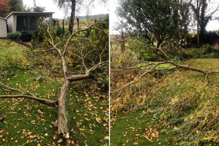 ‘I’ve never seen anything like it’ – Mini-tornado hits garden near York, flattening trees