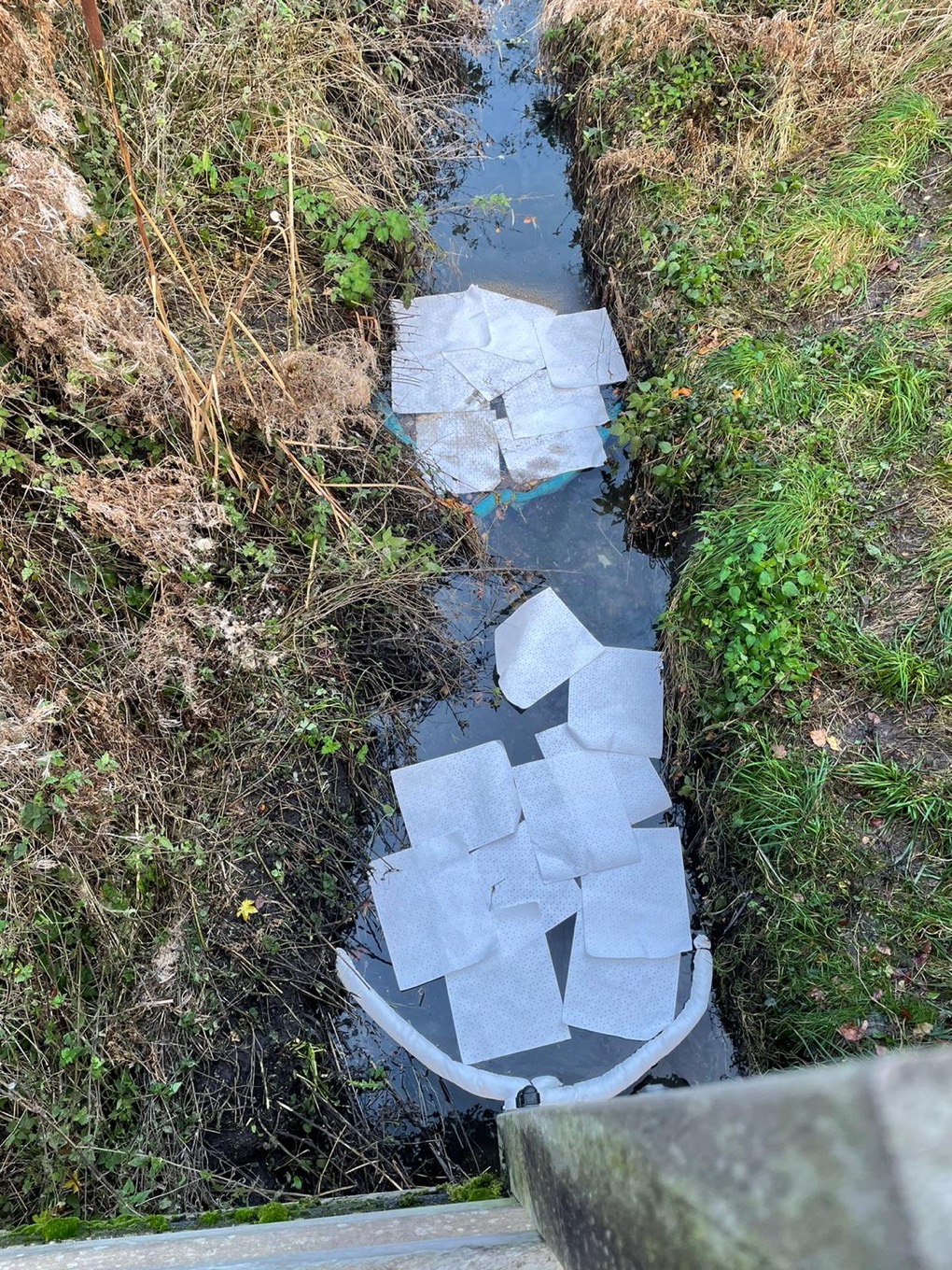 Investigation launched after oil pollutes York stream