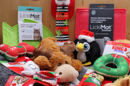 Christmas Toybox scheme for rescue animals