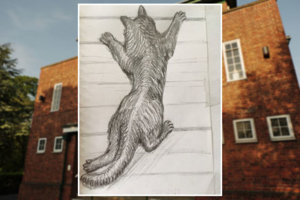 A new addition to the York cat trail is leaping onto a landmark city building