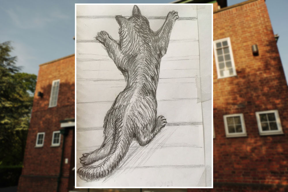 A new addition to the York cat trail is leaping onto a landmark city building