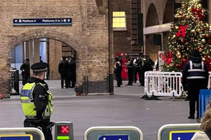 Updated: Man ‘with suspicious package’ arrested by armed police on train to York