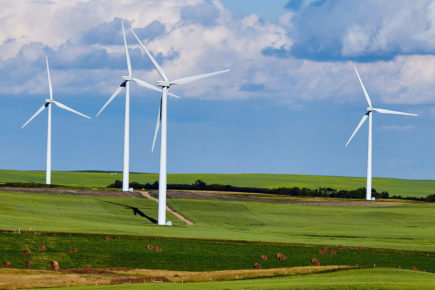 York company offers website hosting powered by renewable energy