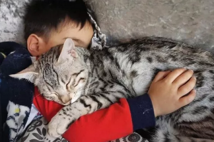 Watch: Baby Carrot the kitten bounces back – thanks to your help and his best friend, two-year-old Theo