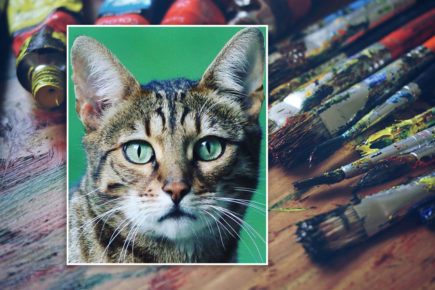 Painting of Gerald the Minster cat going on display at York Station is valued at £250K
