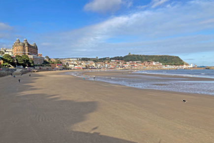‘Don’t take your dog to the beach’ warning – after dozens of pets fall ill on North Yorkshire coast