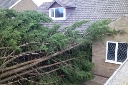 Updated: Storm Malik wreaks havoc in York – Fallen trees hit house and van, and block roads