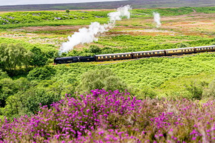 Santa specials, a light spectacular and a steam gala – North Yorkshire Moors Railway reveals new season