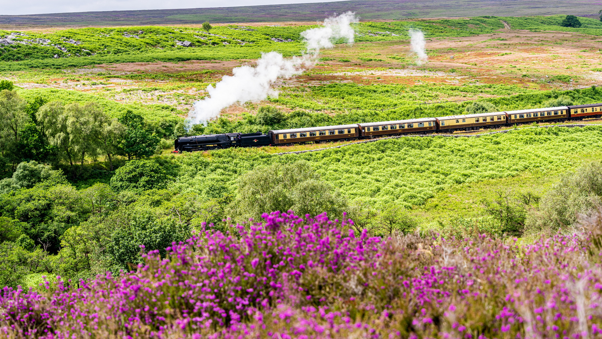 Santa specials, a light spectacular and a steam gala – North Yorkshire Moors Railway reveals new season