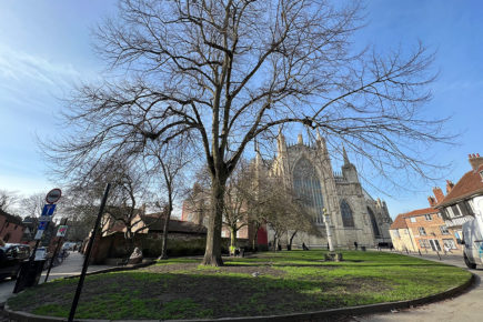 Trees to be removed and a new path laid as transformation of York’s College Green begins