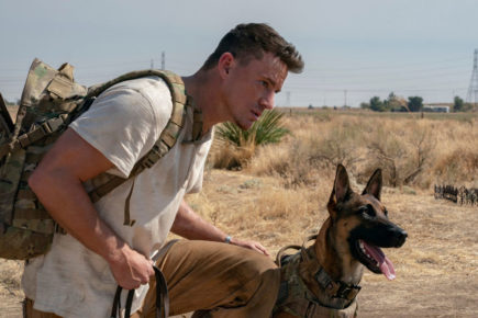 York film preview: Dog, Flee and Get Back