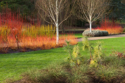 High winds close North Yorkshire gardens