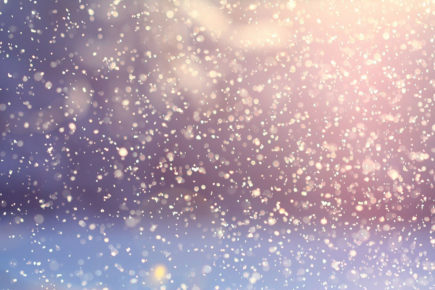 Popular North Yorkshire gardens closed due to forecast of heavy snow