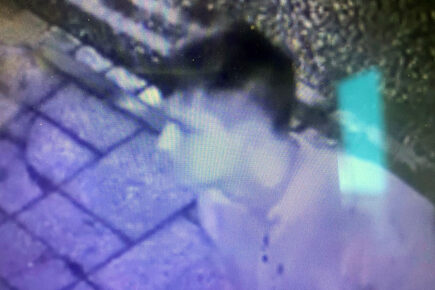 York restaurant window smashed – Police release CCTV
