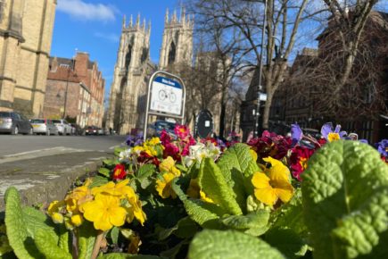 Pictures: York shines on the first day of spring (meteorologically speaking)