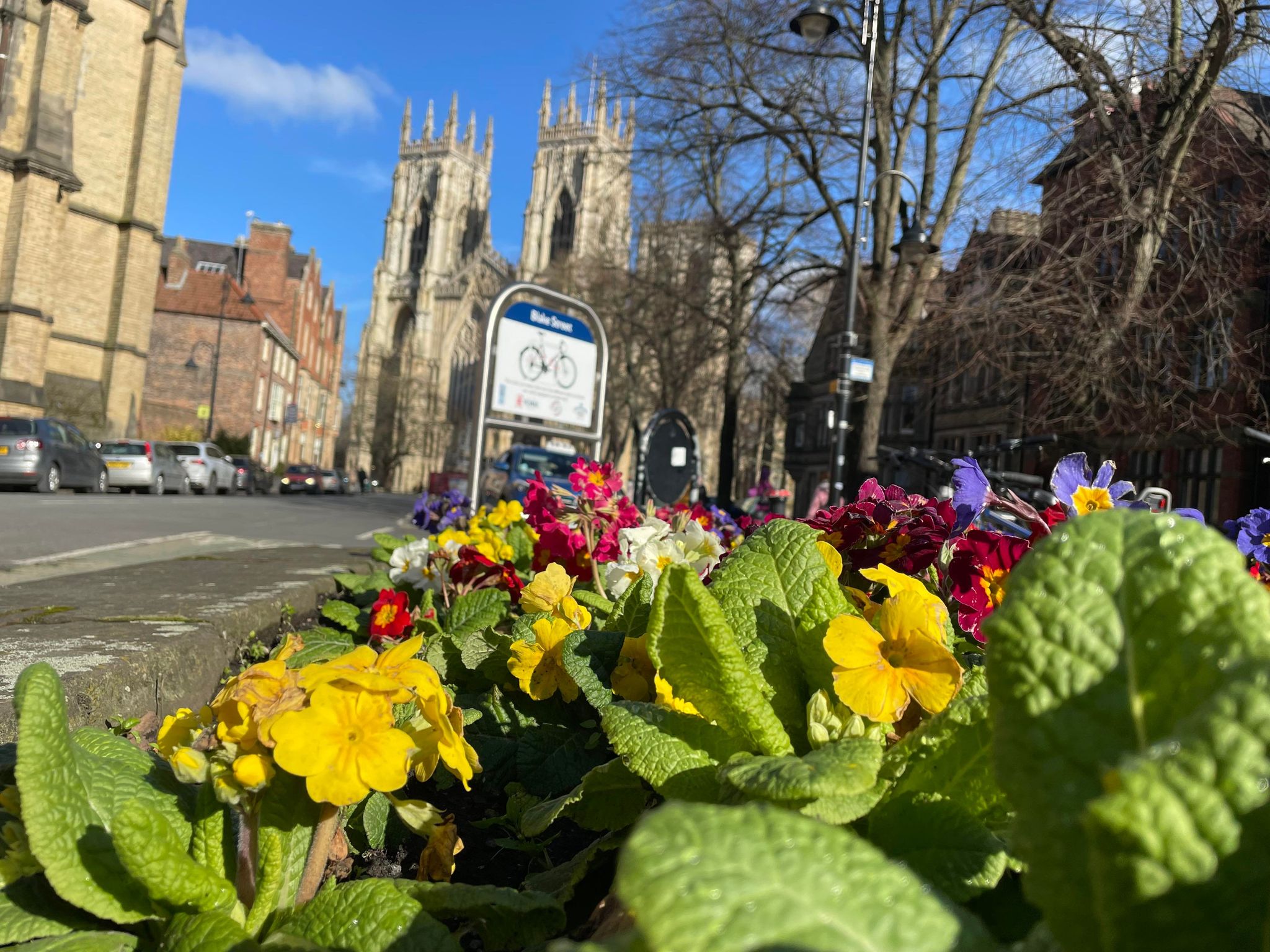 Pictures: York shines on the first day of spring (meteorologically speaking)