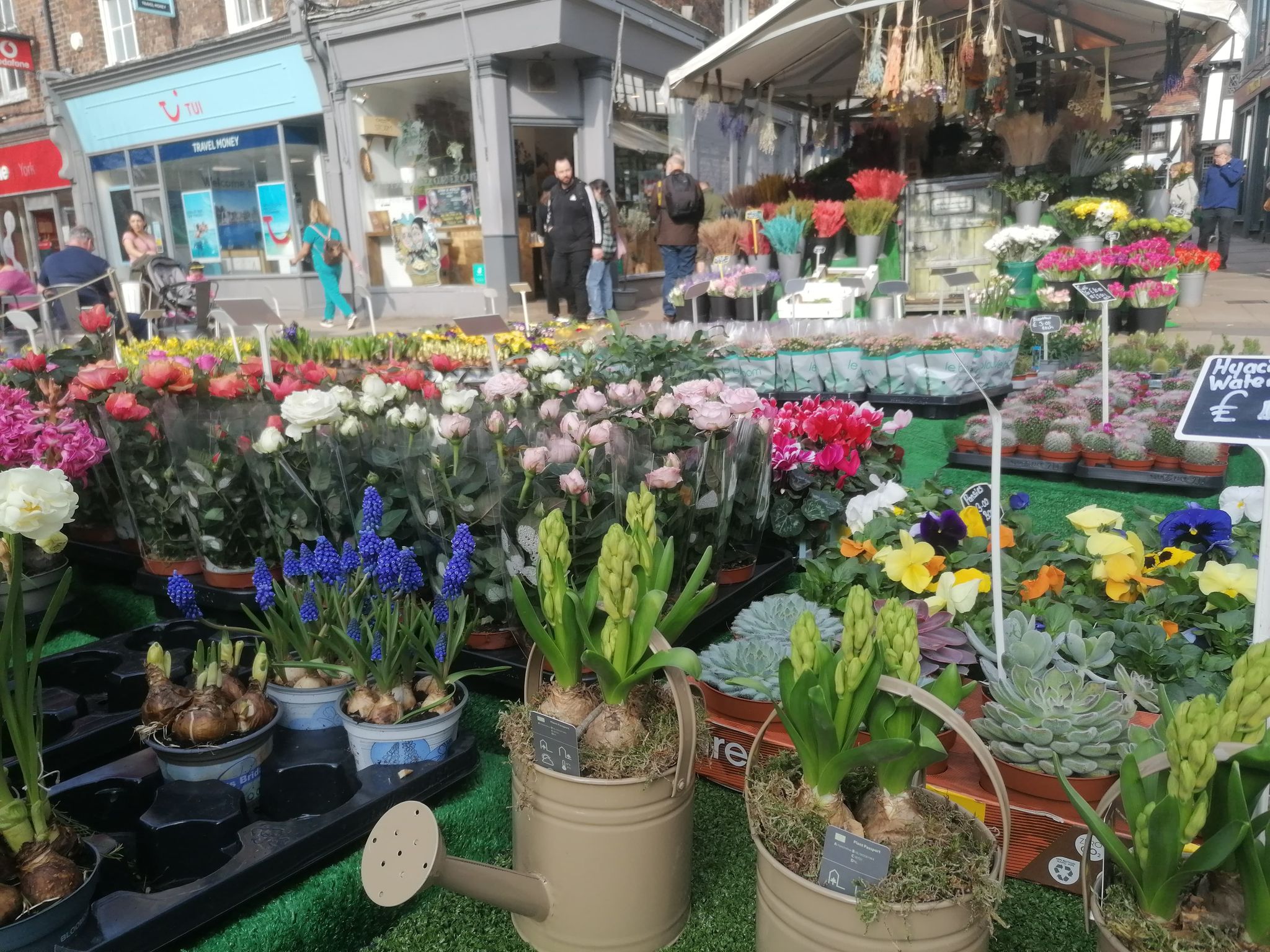 Go green this Mother’s Day – Sustainable gifts and treats from York your Mum will love