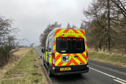 Two Deer die after collision on a road near Malton