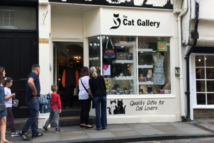 Gallery raises cash for cats in Ukraine