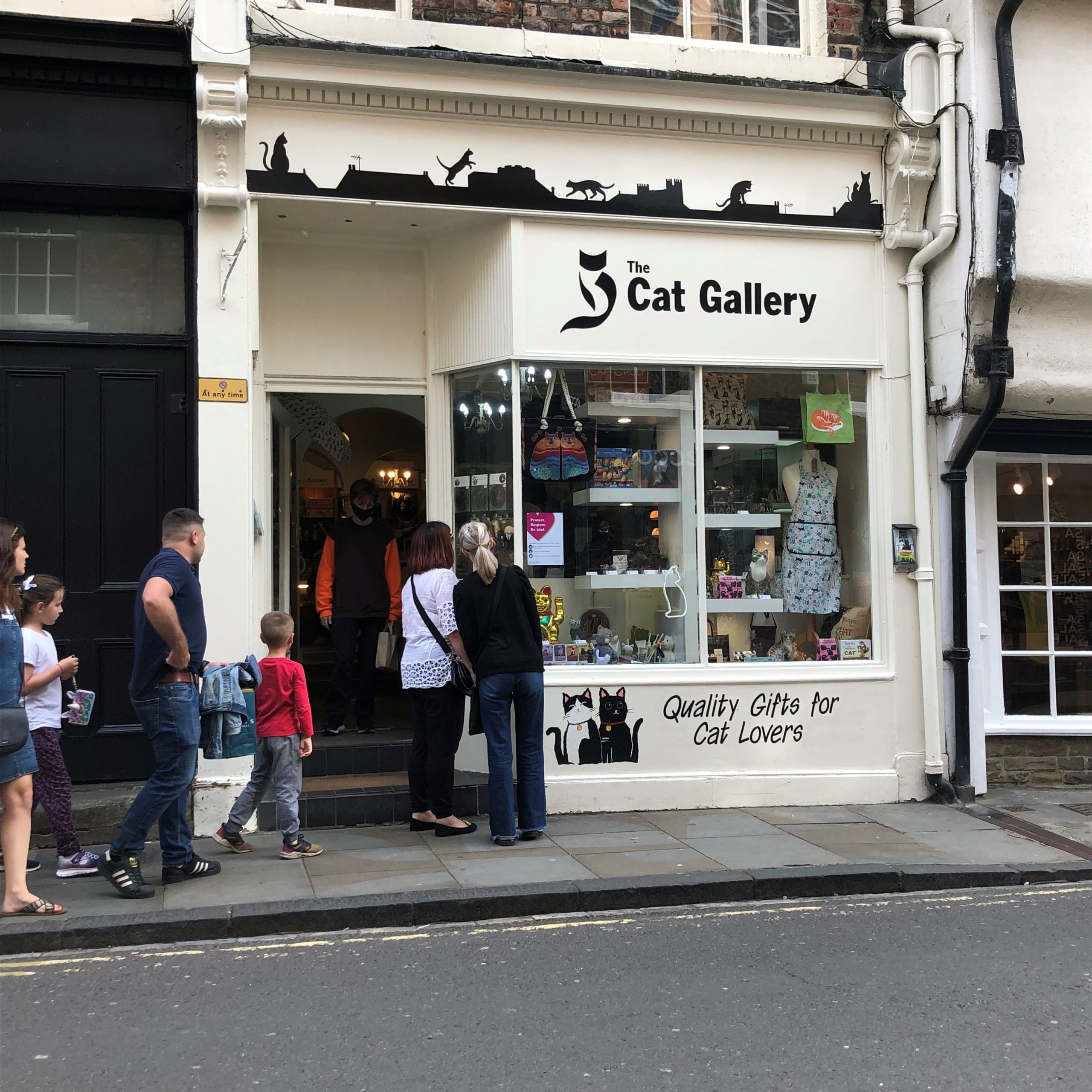 Gallery raises cash for cats in Ukraine