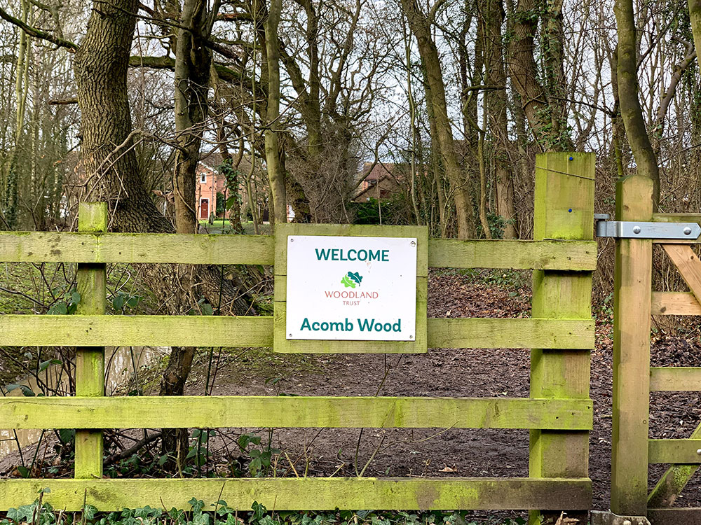 Firefighters tackle another fire started by youths in York wood